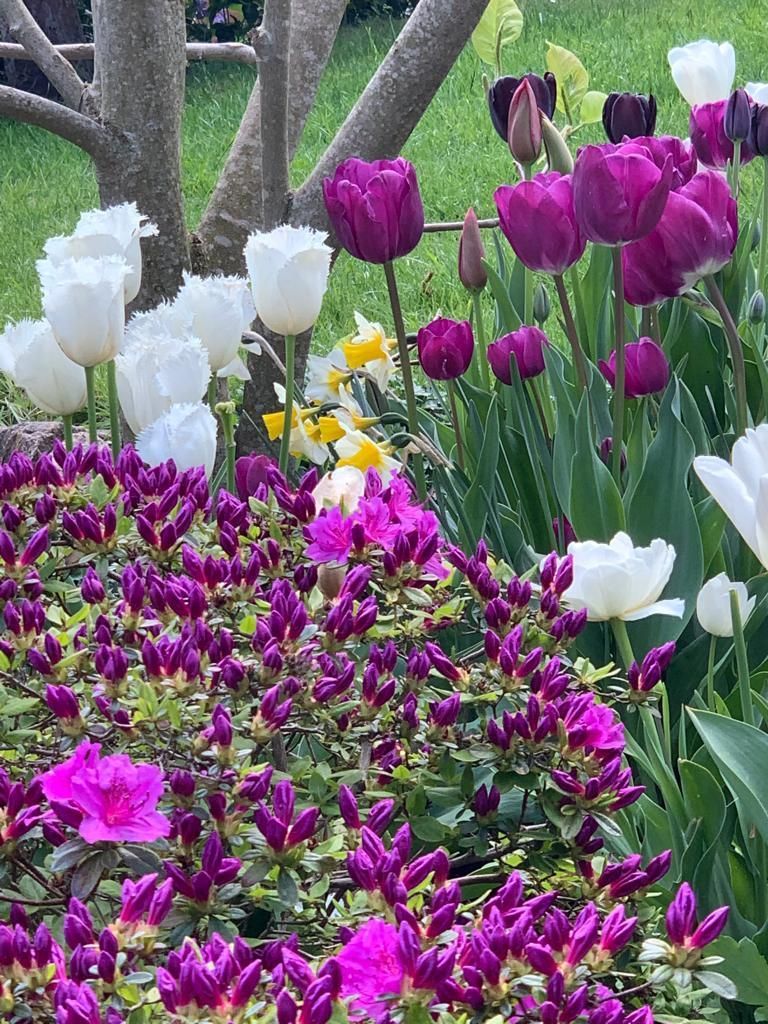 Dauti Gartenbau & Hauswartung