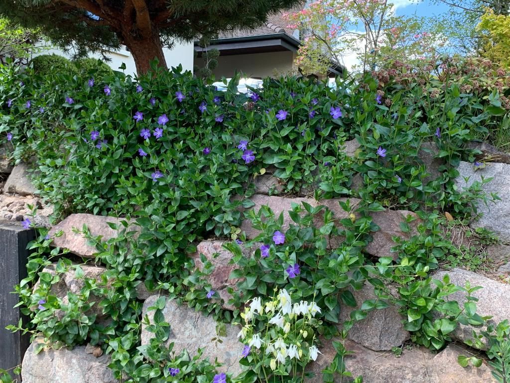 Dauti Gartenbau & Hauswartung