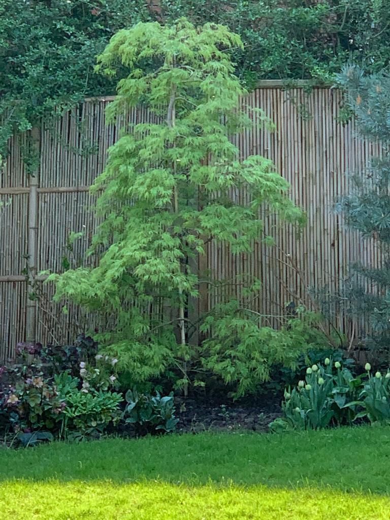 Dauti Gartenbau & Hauswartung