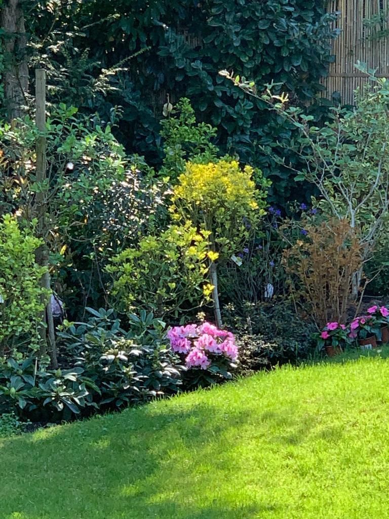 Dauti Gartenbau & Hauswartung