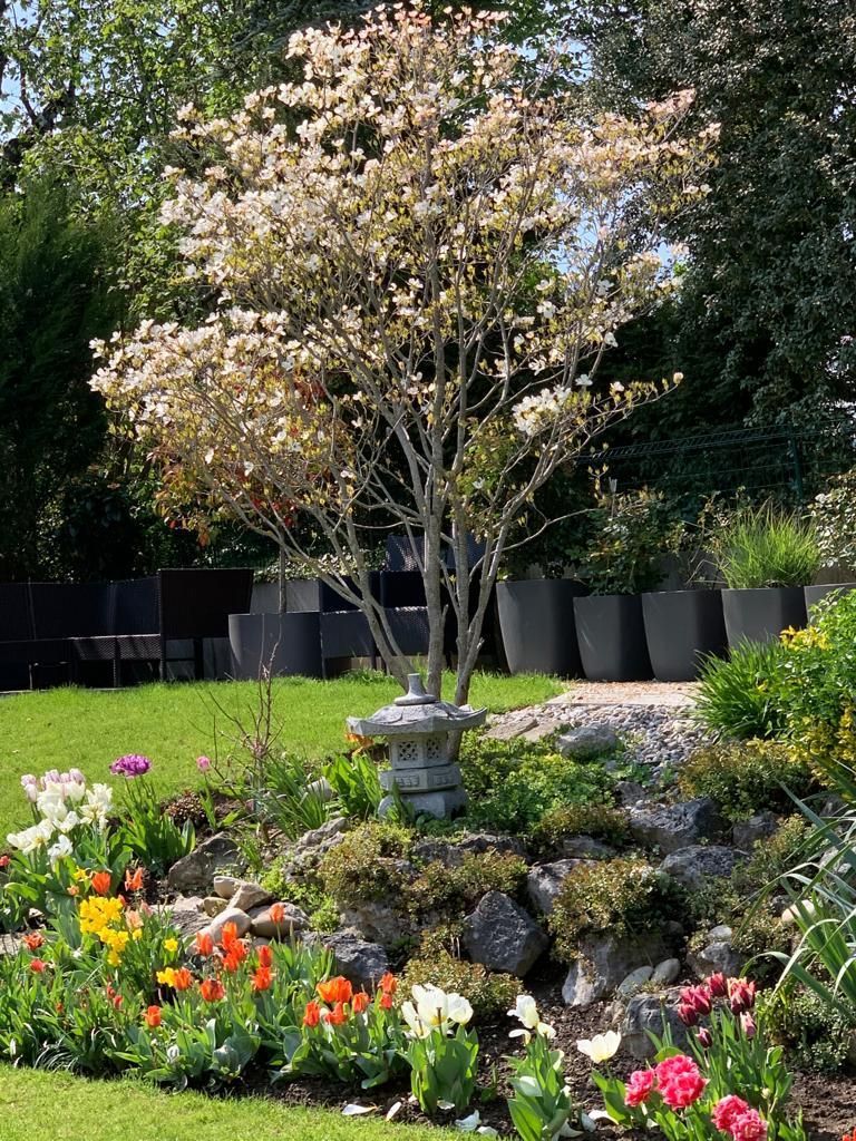 Dauti Gartenbau & Hauswartung