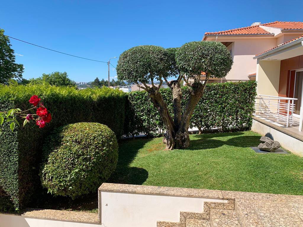 Cláudio Machado Arboricultura em Braga