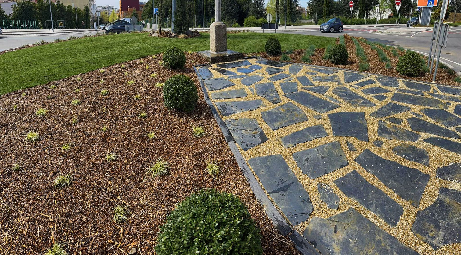 Cláudio Machado Arboricultura em Braga