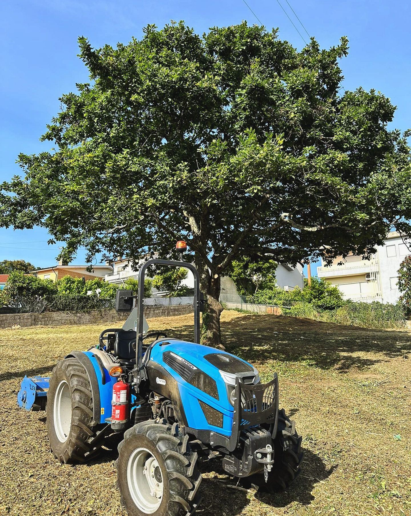 Um homem está sentado em um elevador cortando uma árvore.