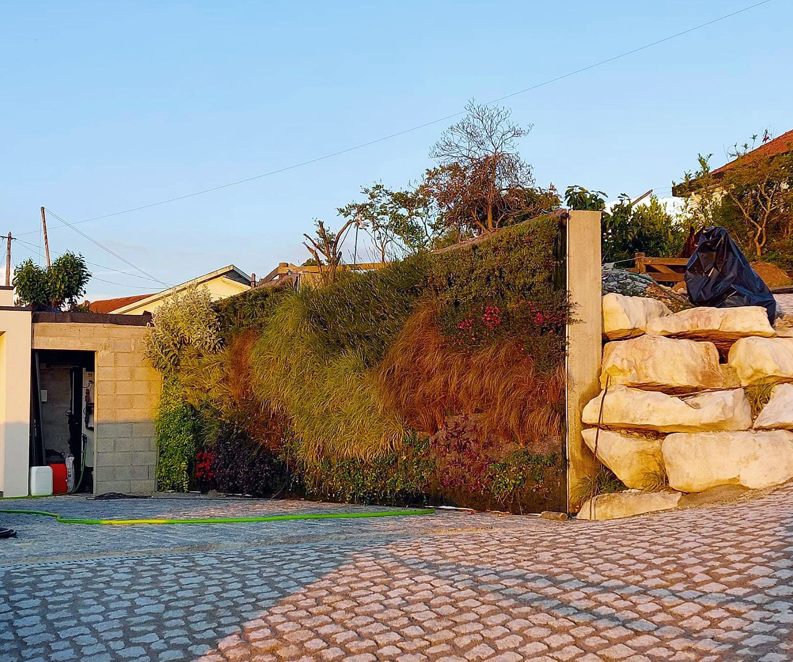 Cláudio Machado Arboricultura em Braga