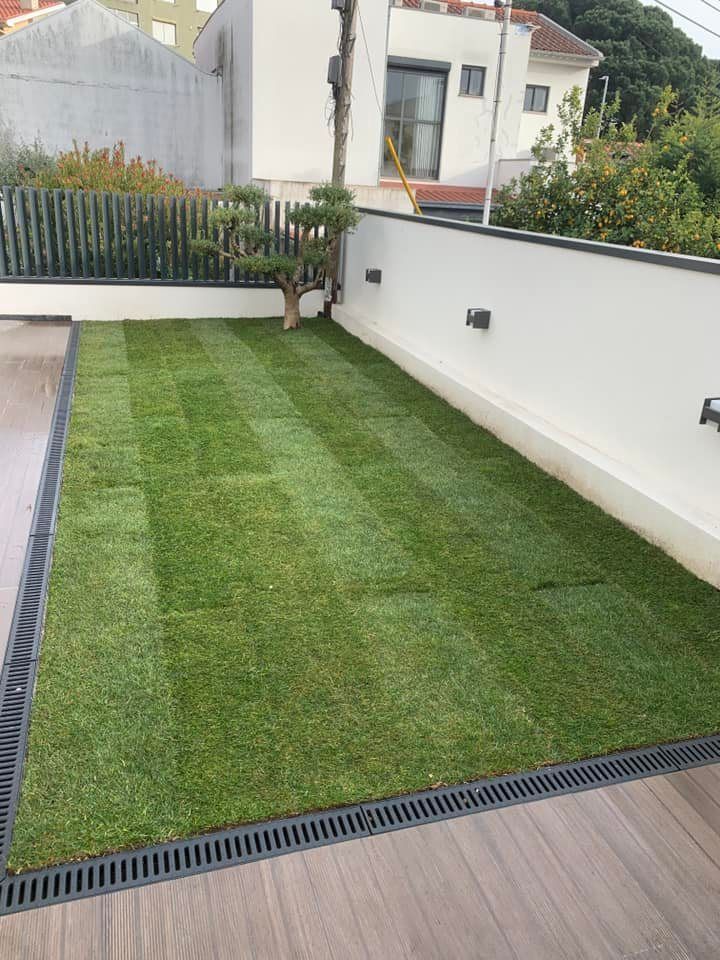 Cláudio Machado Arboricultura em Braga