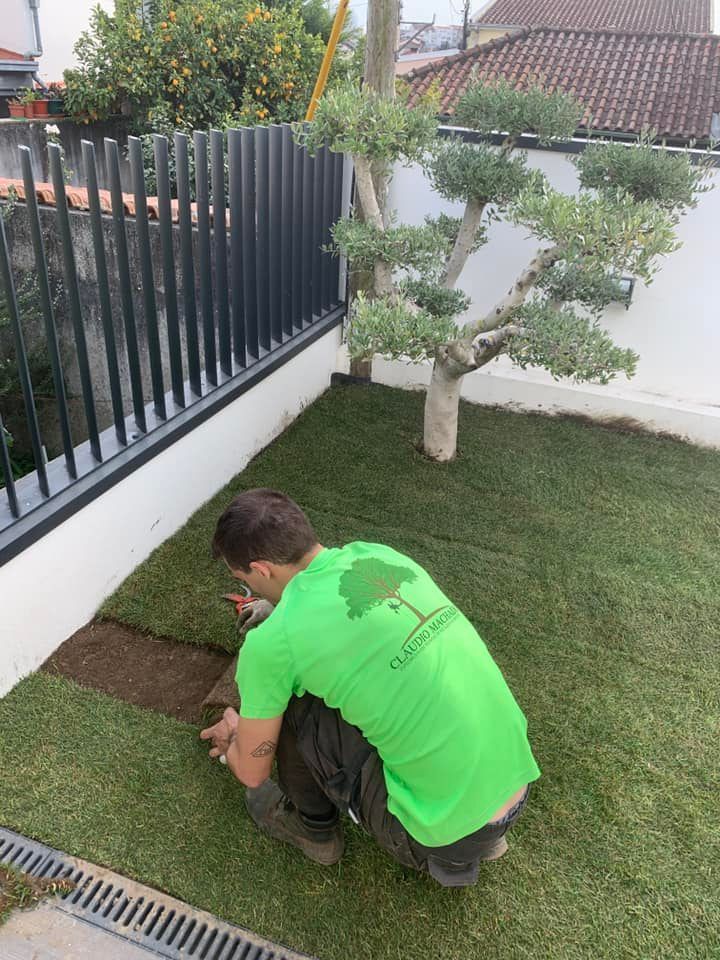 Cláudio Machado Arboricultura em Braga