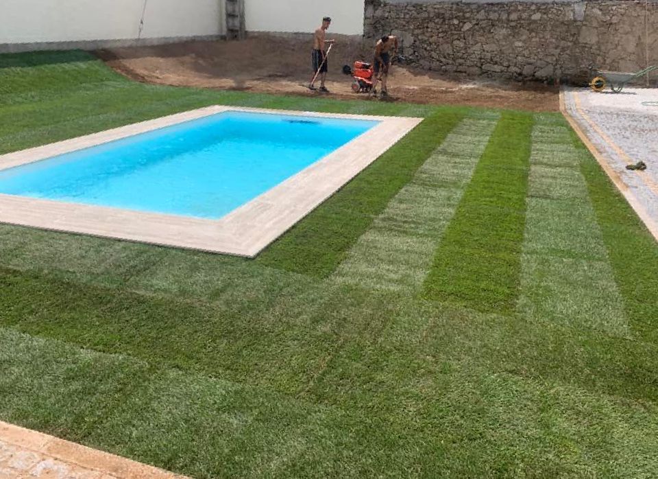 Cláudio Machado Arboricultura em Braga