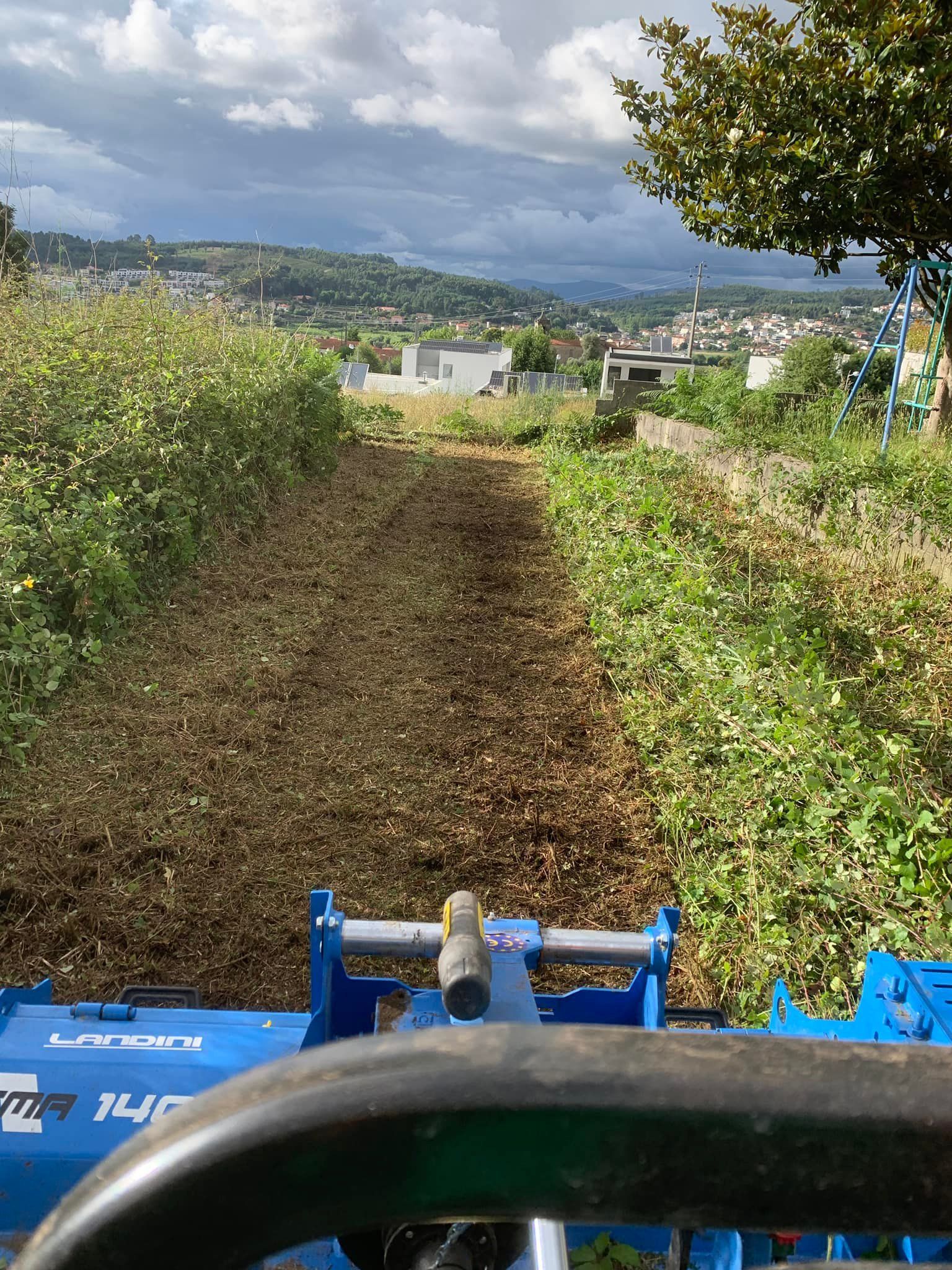 Cláudio Machado Arboricultura em Braga