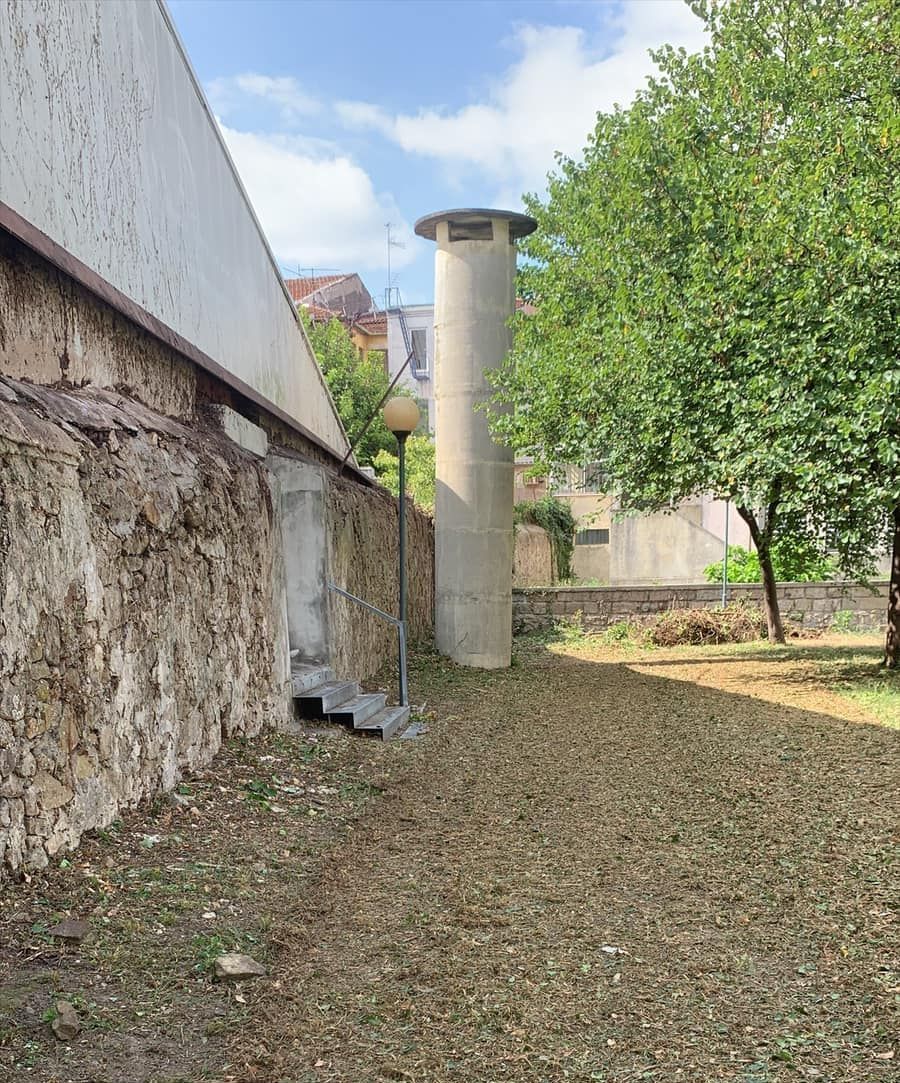 Cláudio Machado Arboricultura em Braga