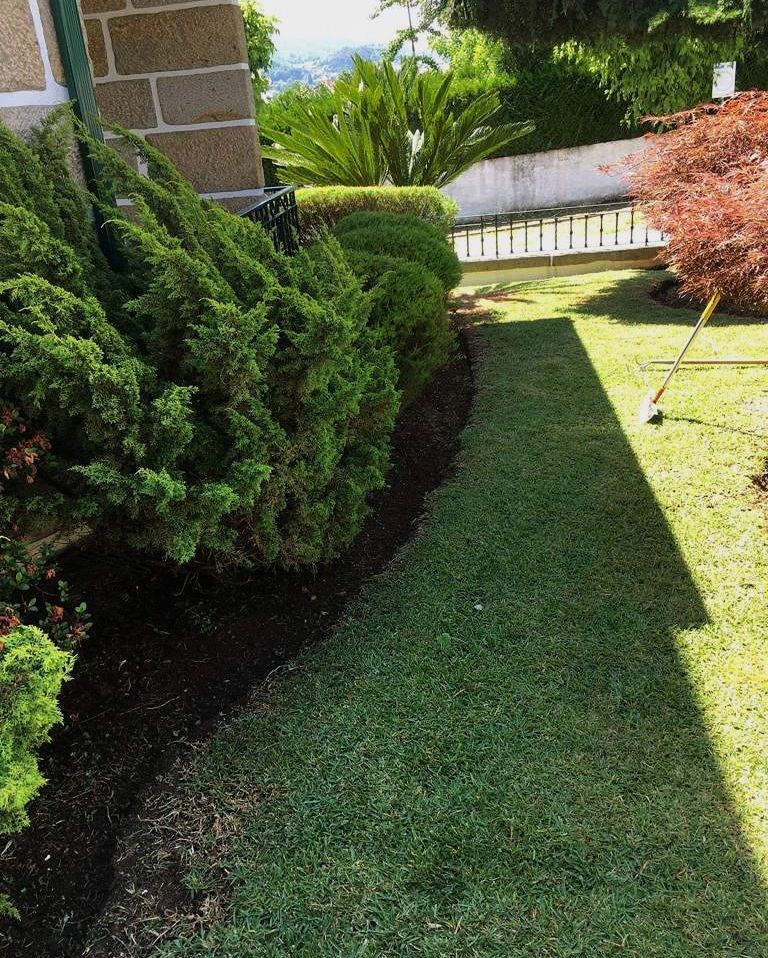 Um homem está sentado em um elevador cortando uma árvore.
