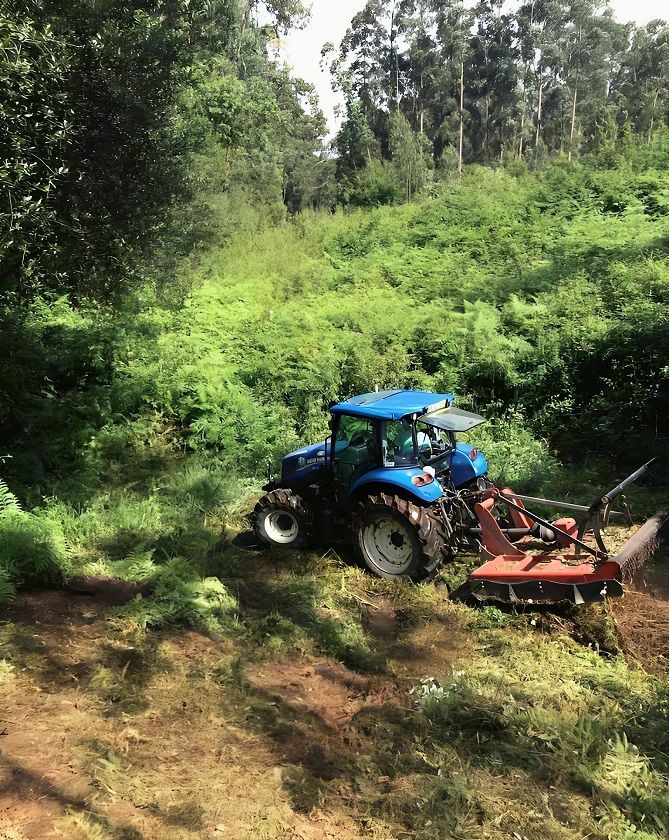 Cláudio Machado Arboricultura em Braga