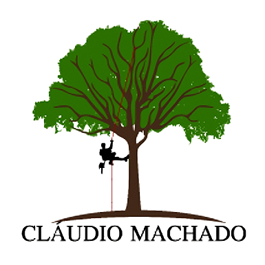 Uma mulher está sentada no chão segurando um vaso de planta