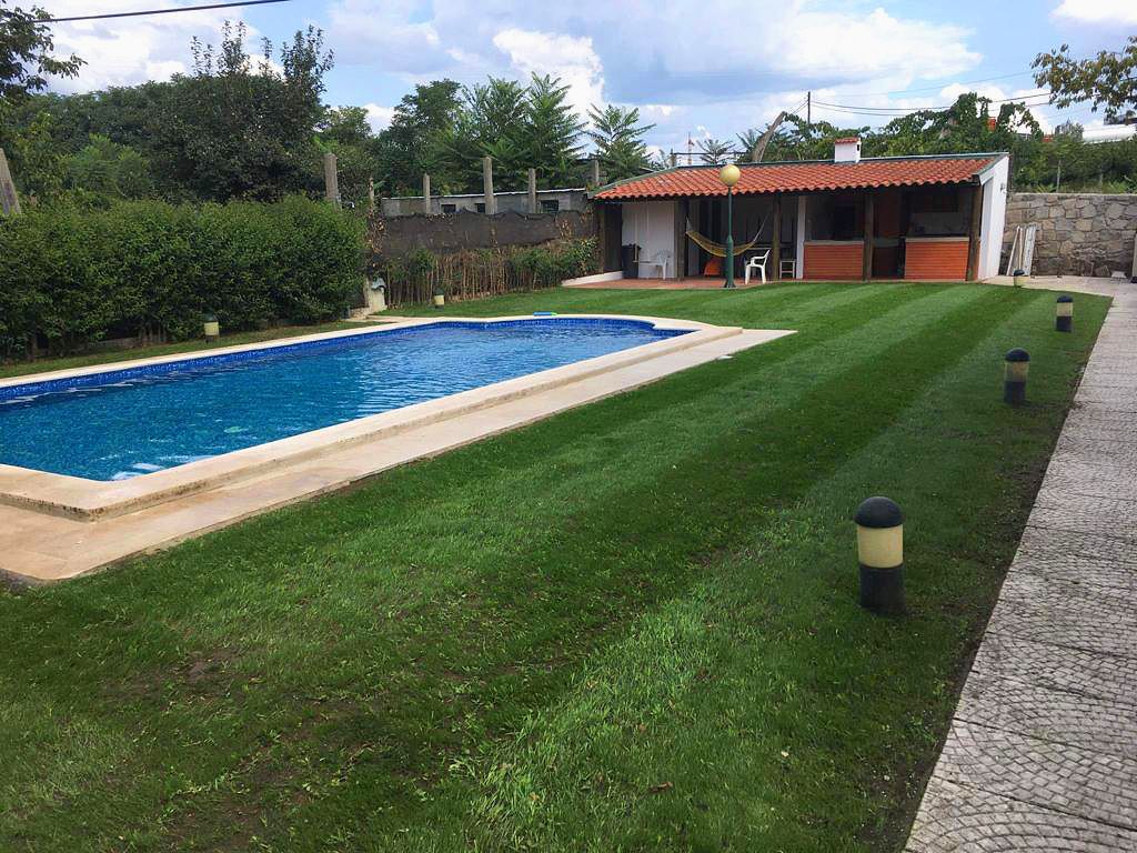 Cláudio Machado Arboricultura em Braga