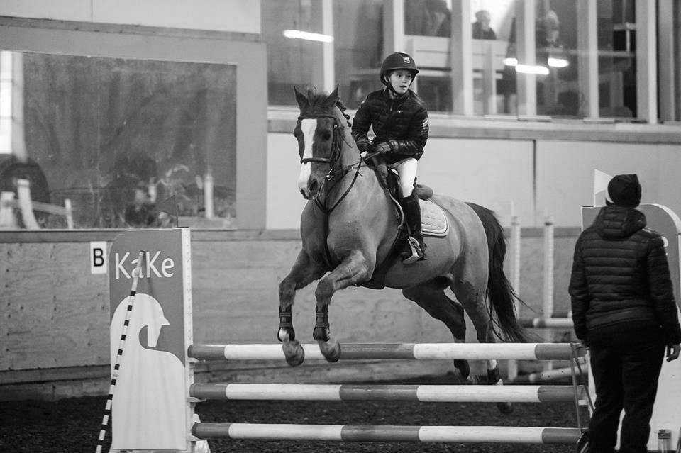 Yhteystiedot  & yhteistyössä