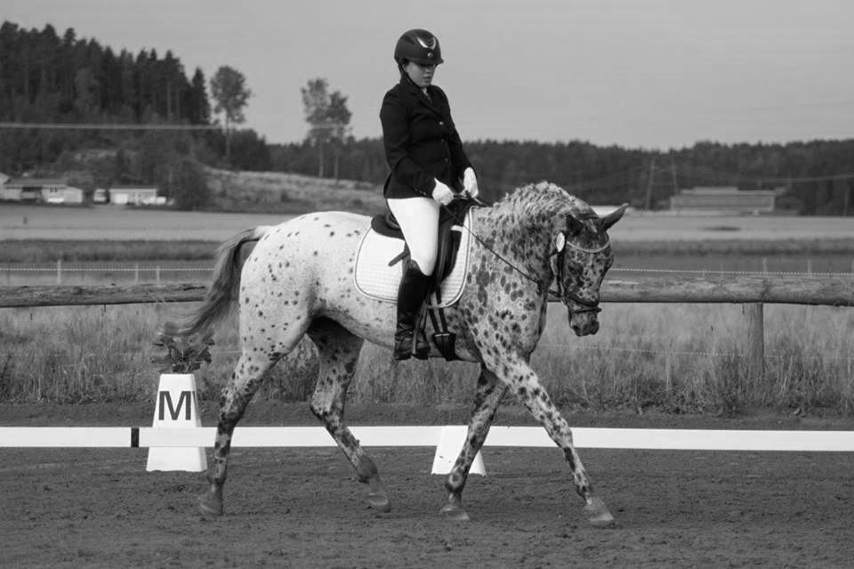 Hallitus & kokoukset