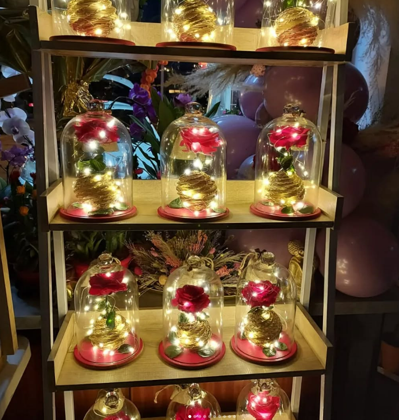 Étagère de présentation avec roses illuminées sous coupoles en verre.