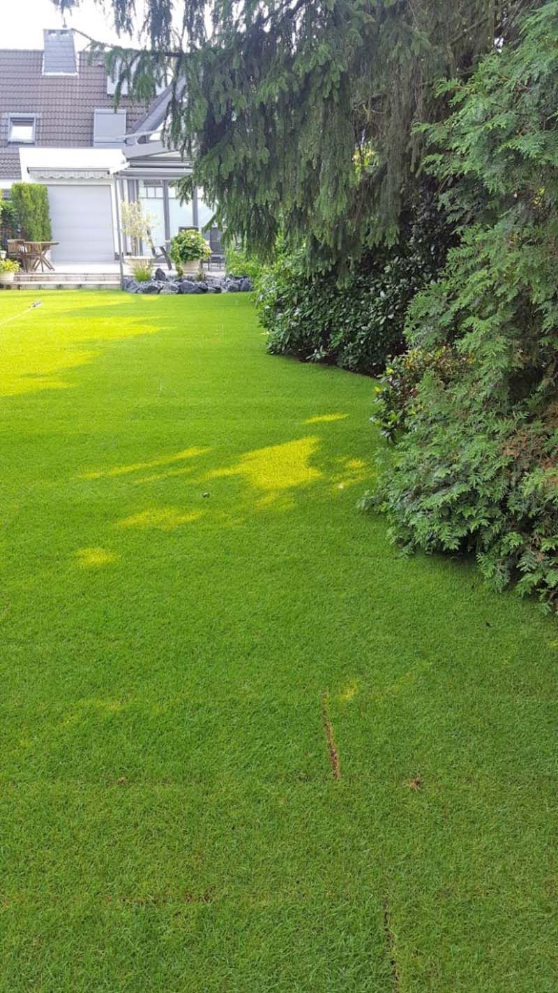 Gartenbau | René Duwenhorst | Garten-, Landschafts- & Tiefbau | Solingen