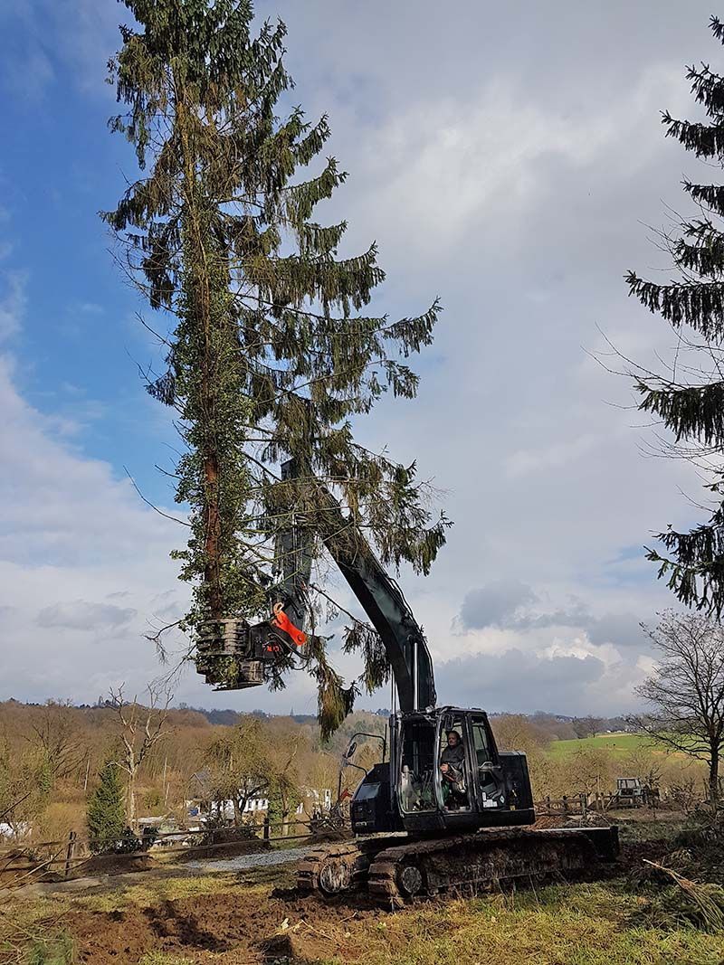 Baumfällungen | René Duwenhorst | Garten-, Landschafts- & Tiefbau | Solingen
