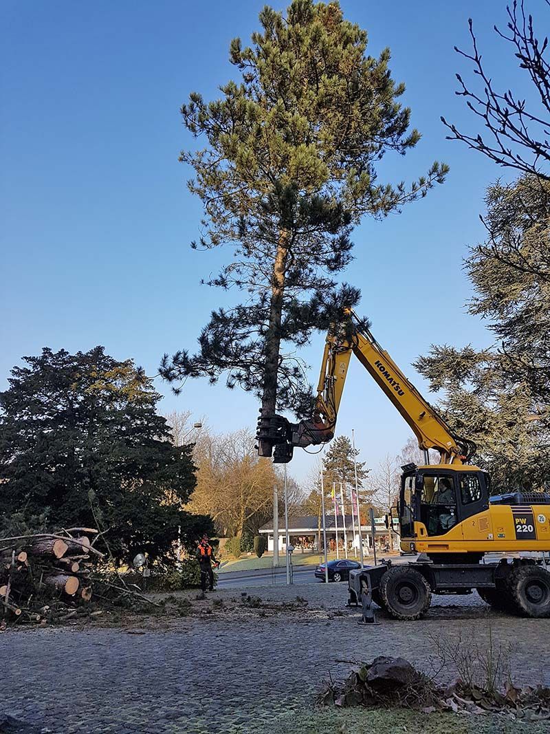 Baumfällungen | René Duwenhorst | Garten-, Landschafts- & Tiefbau | Solingen