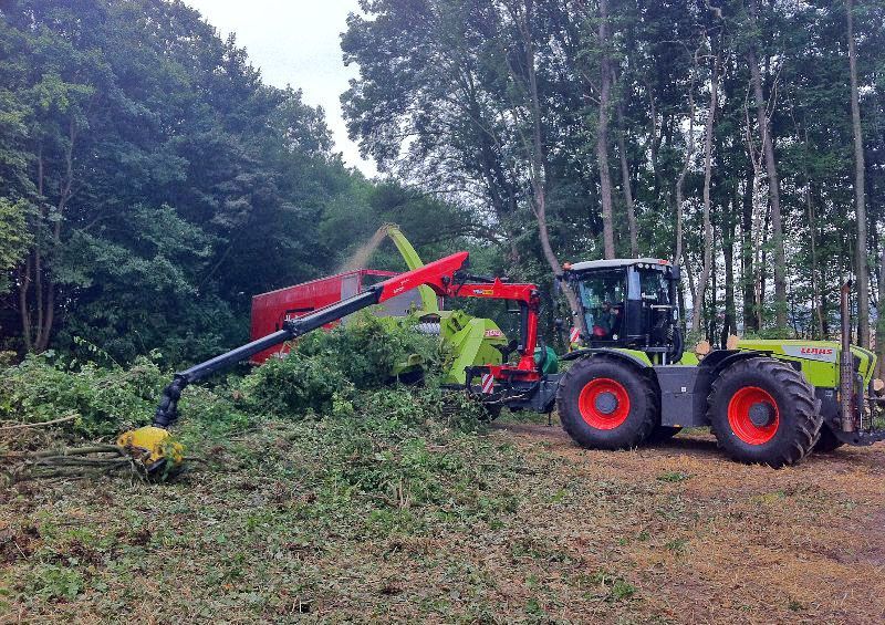Holzhackarbeiten | René Duwenhorst | Garten-, Landschafts- & Tiefbau | Solingen