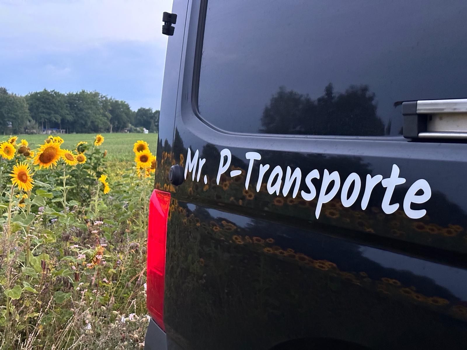 Ein Transporter parkt vor einem Sonnenblumenfeld