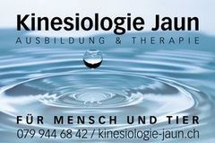 KINESIOLOGIE JAUN
