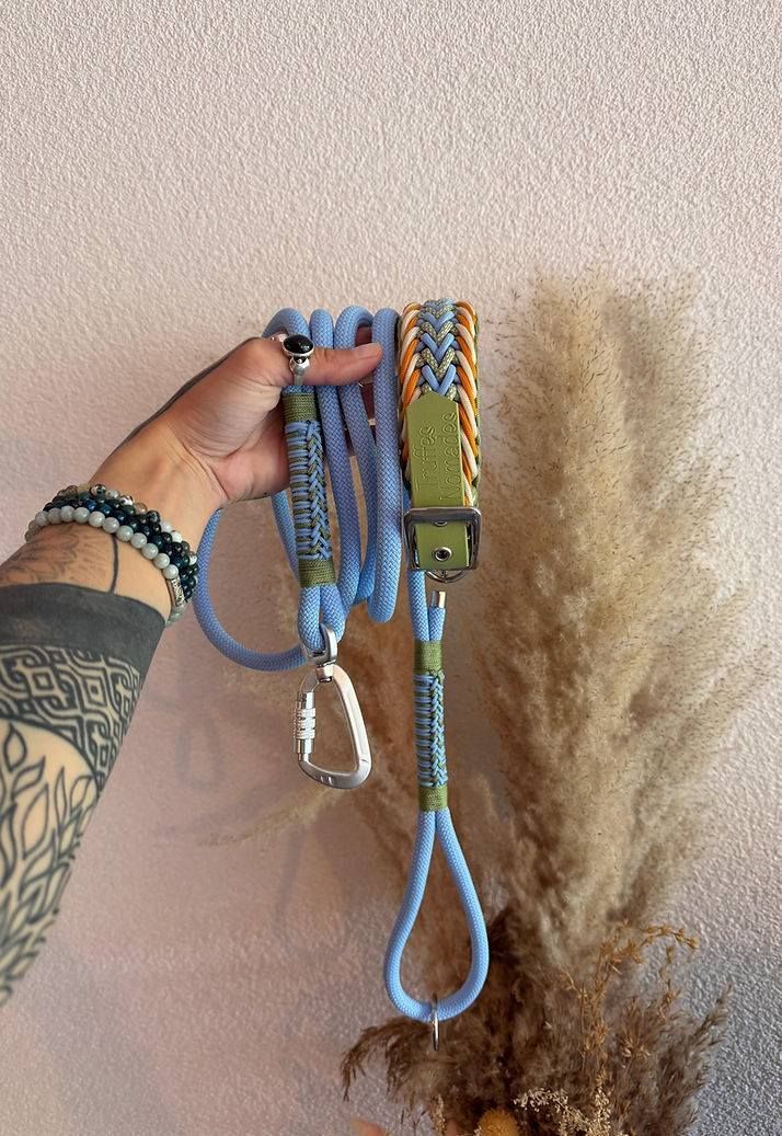 Main tenant une laisse bleue, un collier et un mousqueton à côté d'un mur taché de marques de fourrure brune