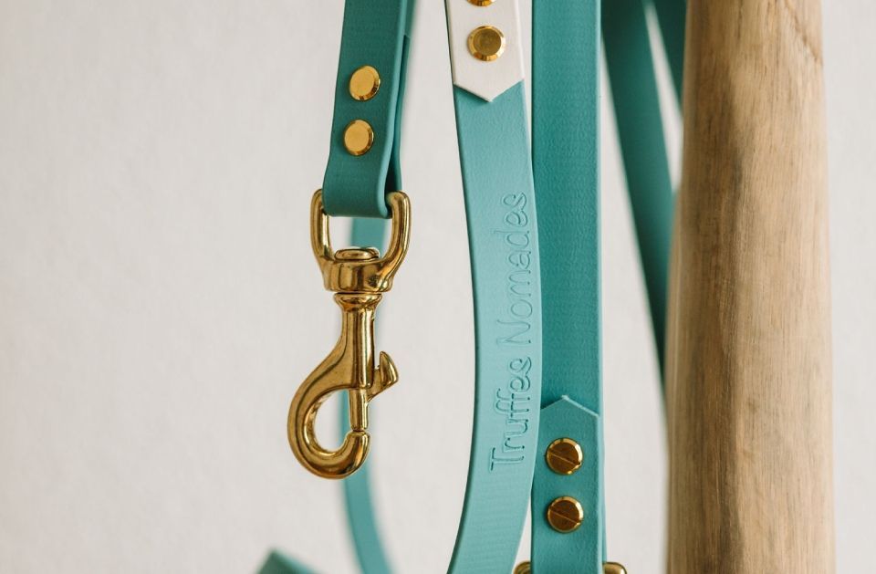 Laisses en cuir turquoise avec des boucles dorées suspendues à un support en bois