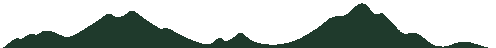 A dark green waveform, potentially a data visualization.