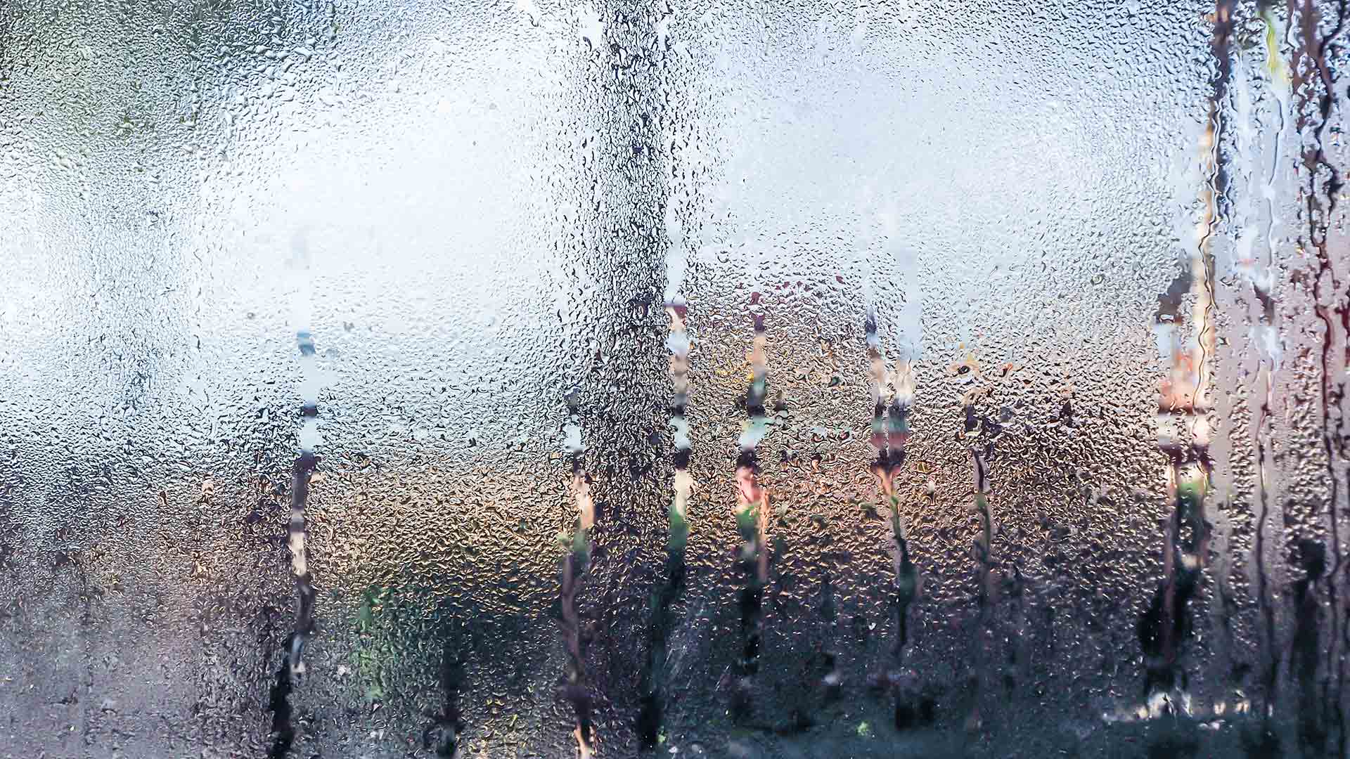 Humidité abondante et condensation sur une fenêtre