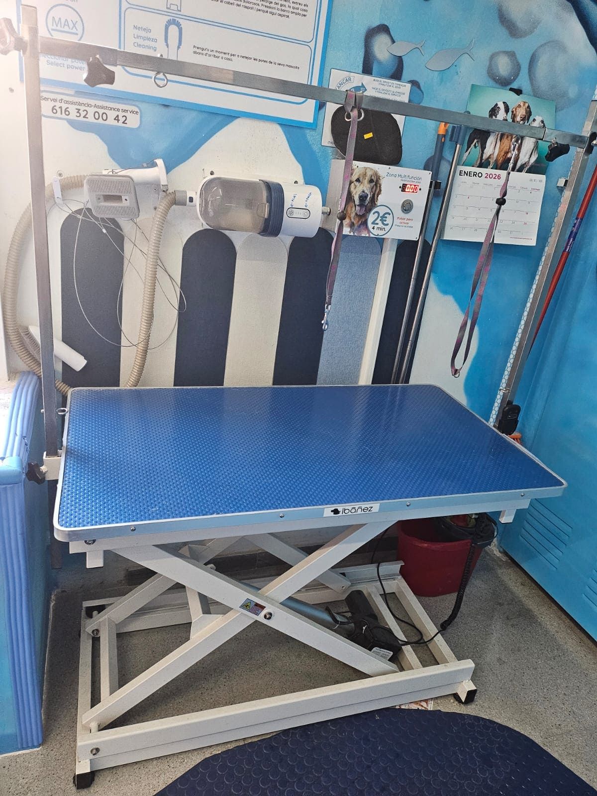Una mesa de aseo profesional de color azul con una base de estructura en forma de X de metal y una barra superior para sujeciones en un salón de mascotas.