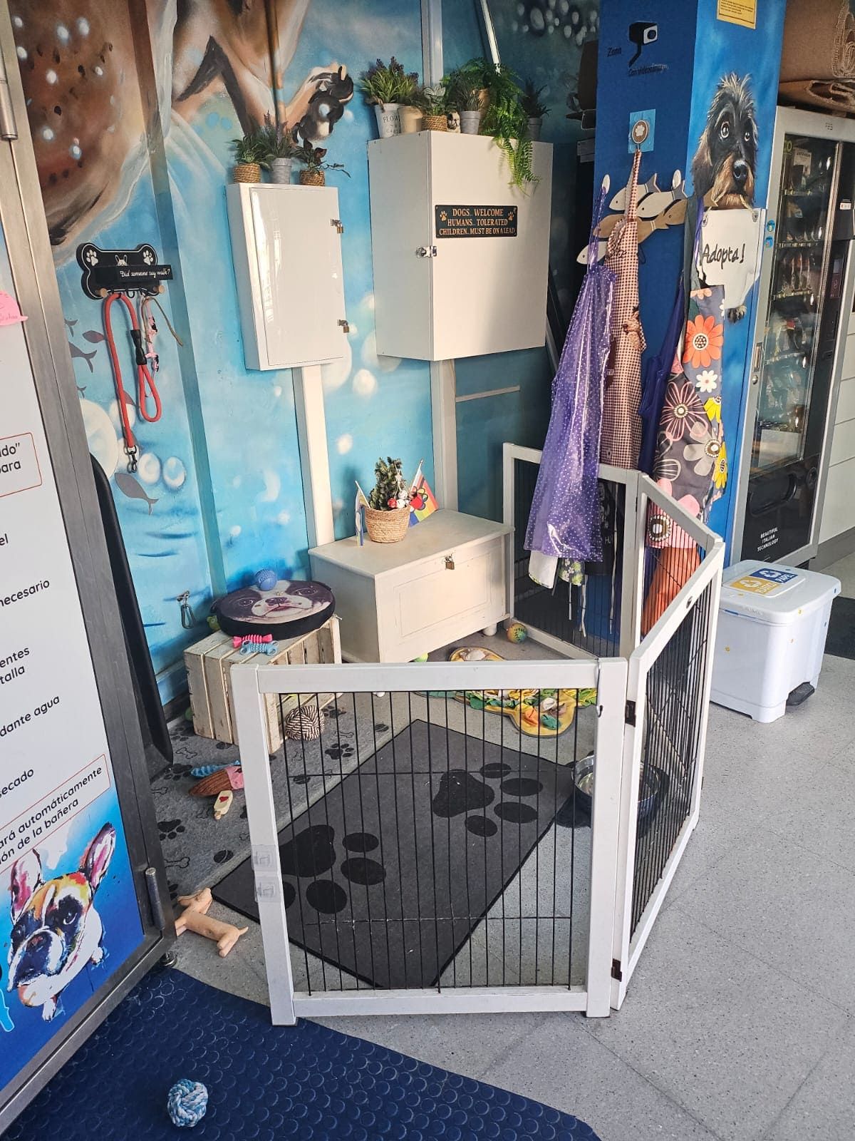 Un área de juegos para mascotas con una alfombra con huellas de patas, muebles pequeños y cajas de almacenamiento contra una pared pintada de azul.