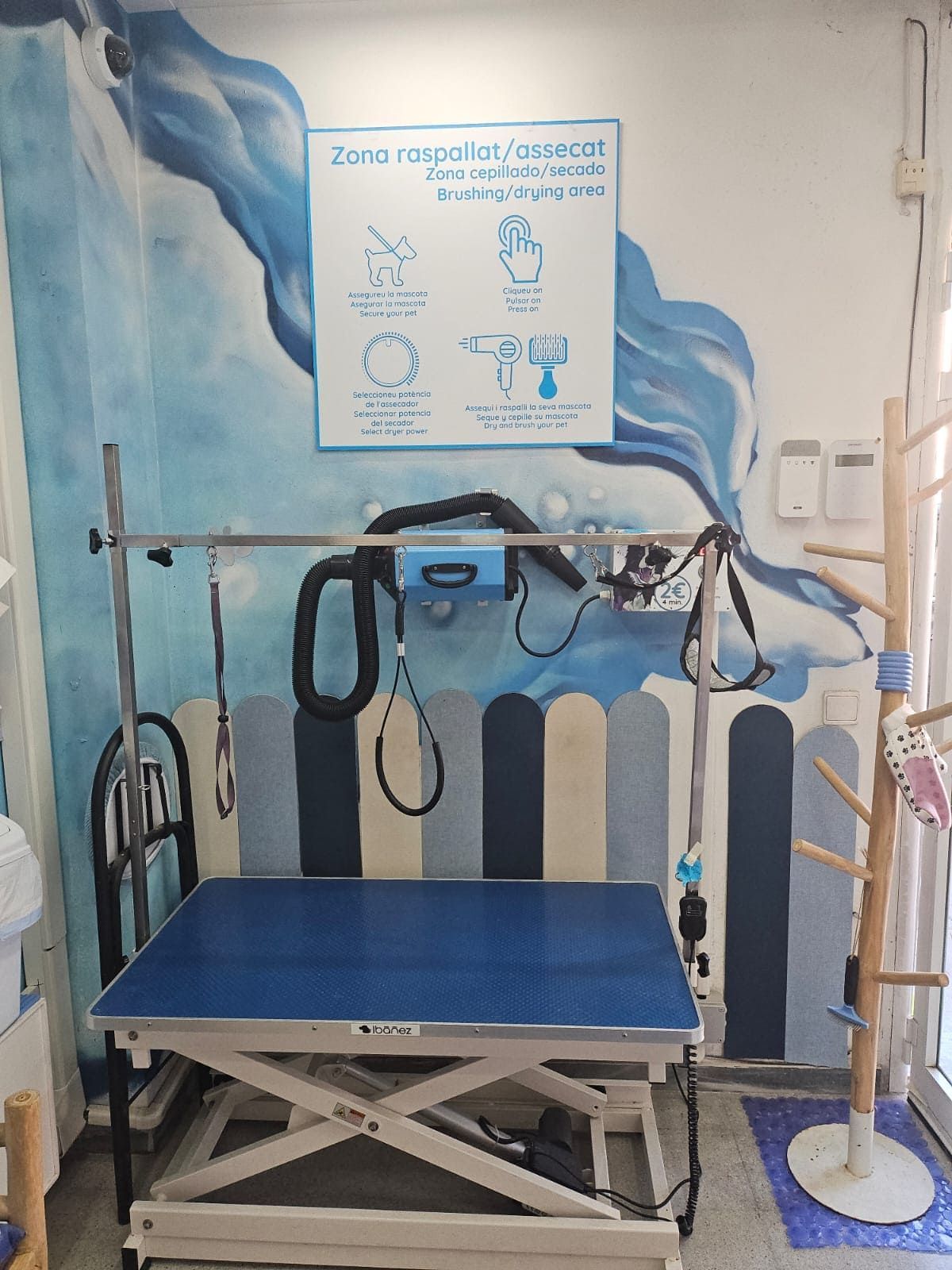 Una mesa de aseo azul con correas suspendidas se encuentra contra una pared pintada con ondas azules y un tablero de señalización para el cuidado de mascotas.