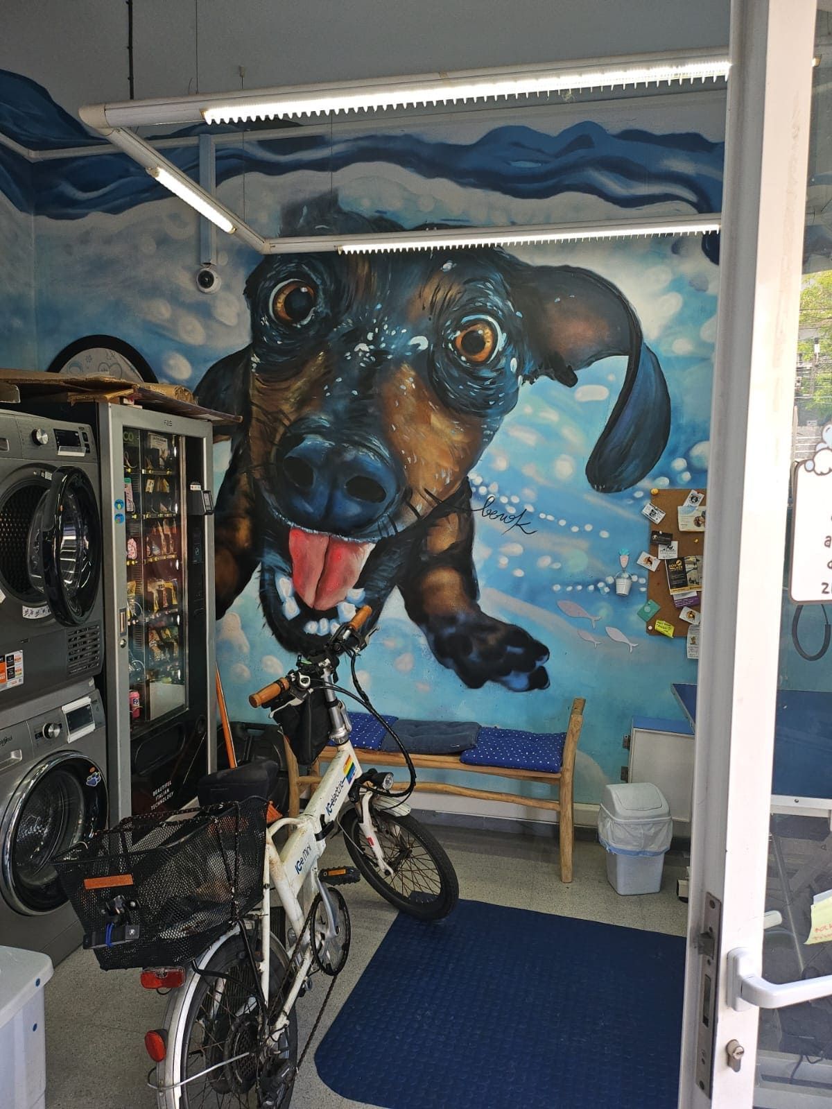 Un gran mural de un perro marrón feliz pintado en la pared de una lavandería con una bicicleta estacionada en primer plano.
