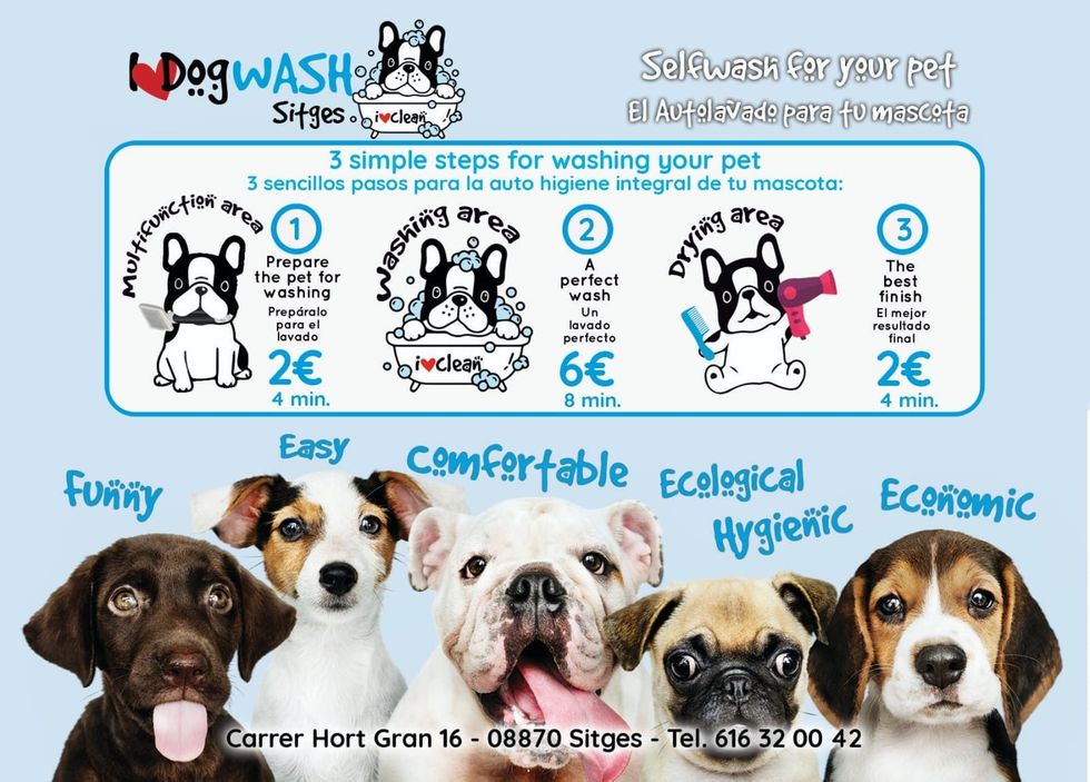 Letrero de lavado de perros en Sitges con tres pasos para el aseo de mascotas, precios y cinco perros felices mostrados en la parte inferior.