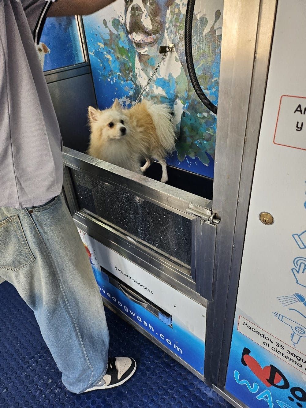 Una persona se encuentra junto a una estación de lavado de perros de autoservicio profesional, donde un pequeño perro blanco y esponjoso se encuentra dentro de una tina de metal.