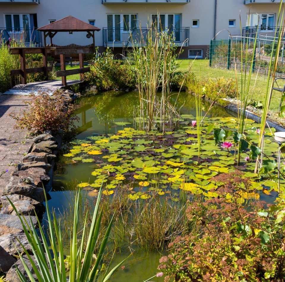 Teich und Grünanlage des Senioren- und Pflegeheim