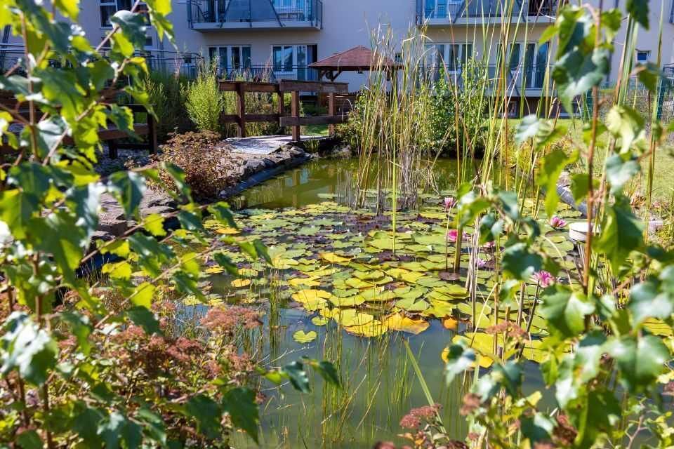 Teich des Senioren- und Pflegeheim 