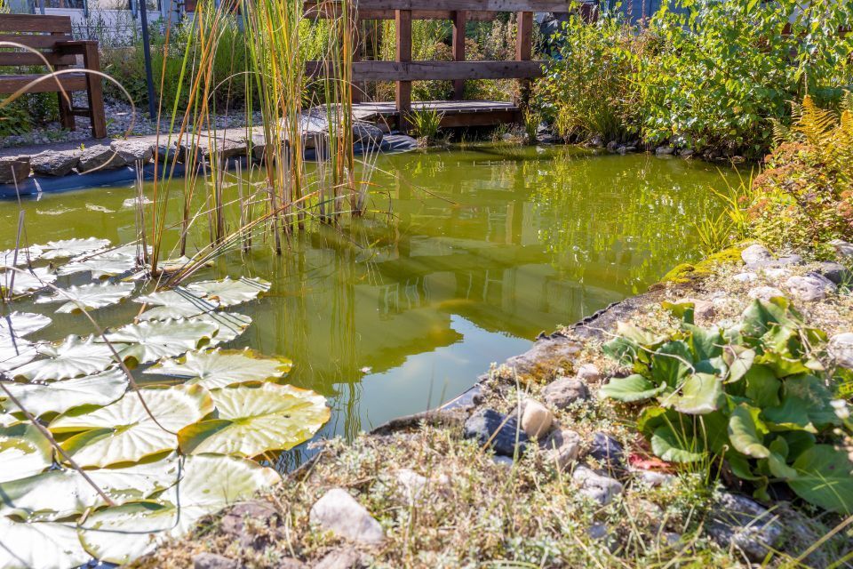 Teich des Senioren- und Pflegeheim 