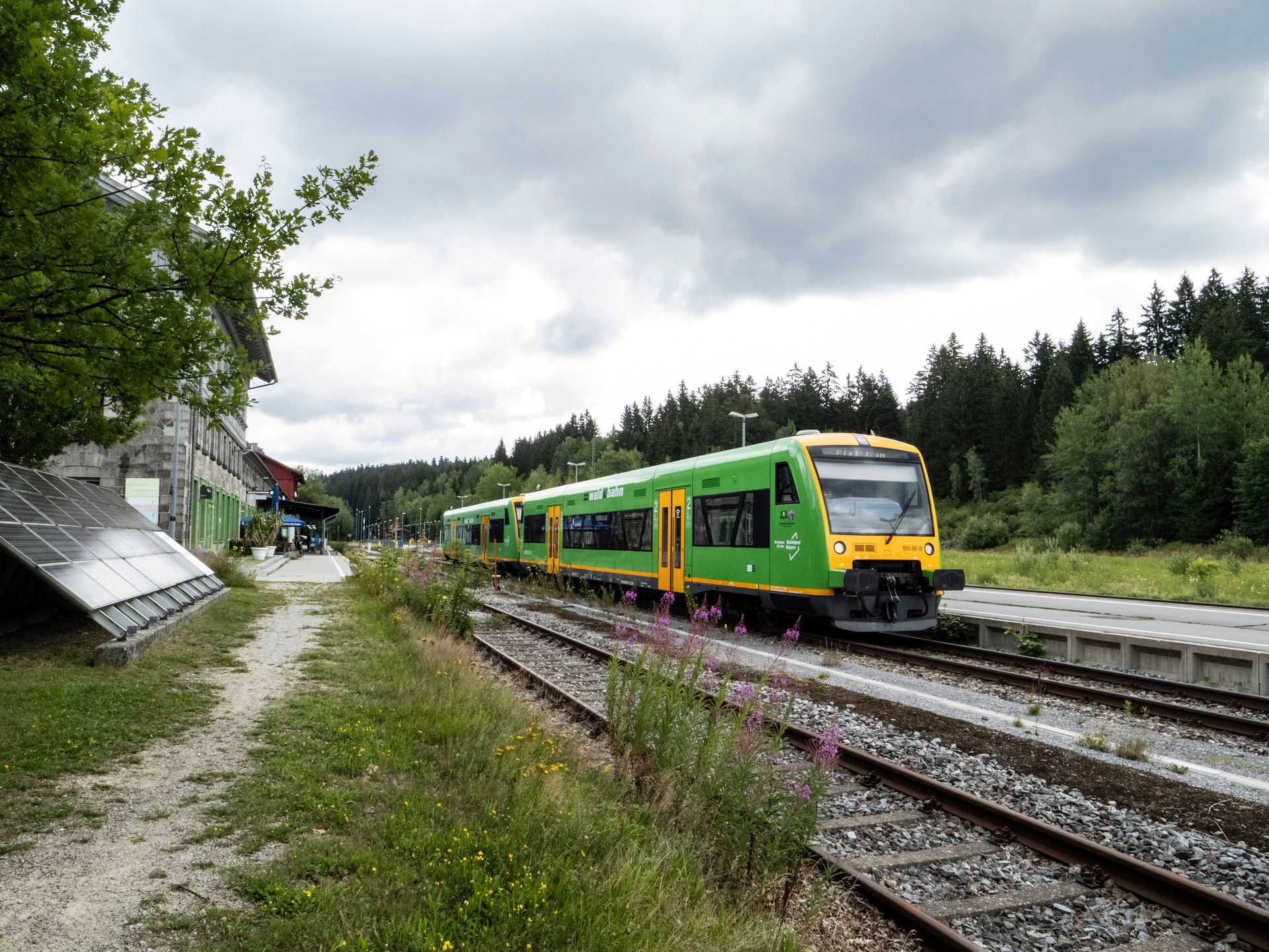 Bavarian Forest Train