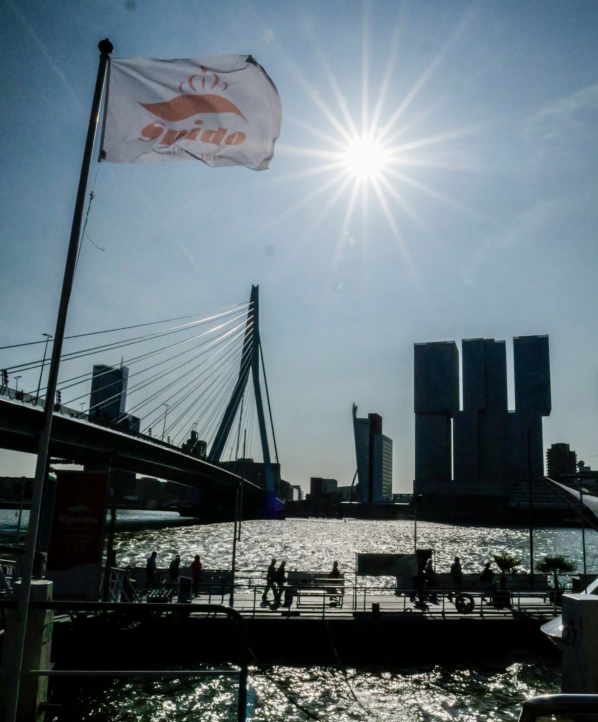 Rotterdam River bank