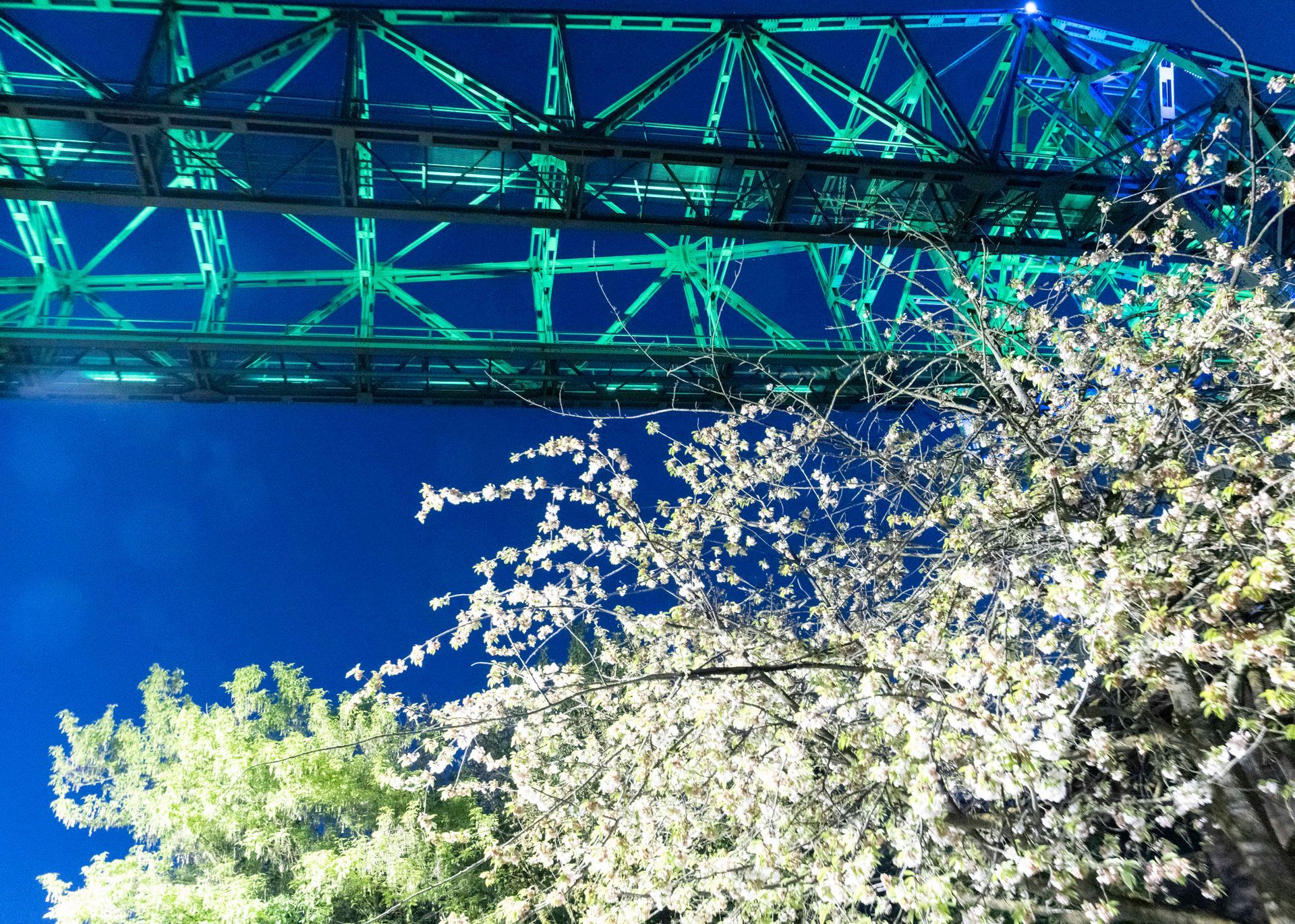 Transport Bridge
