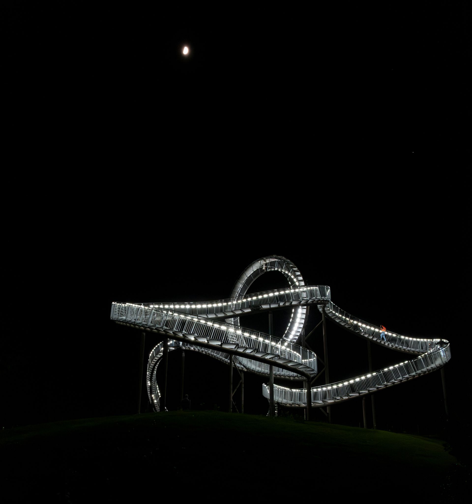 Tiger and Turtle at night