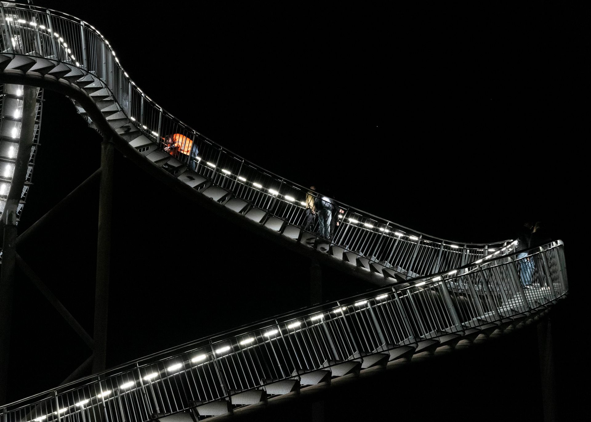 Tiger and Turtle at night