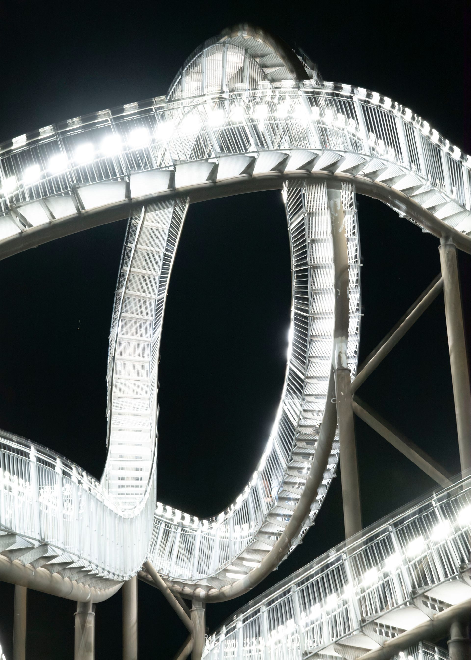 Tiger and Turtle at night
