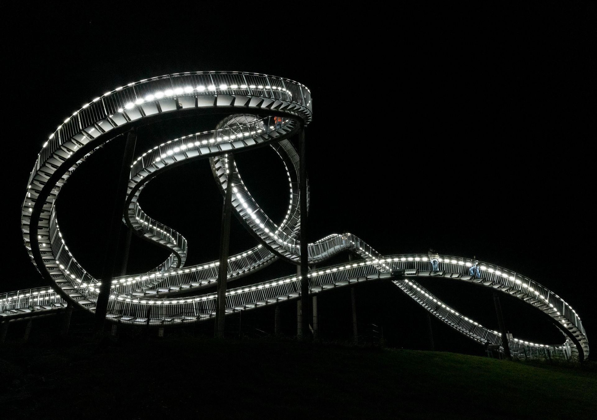Tiger and Turtle at night