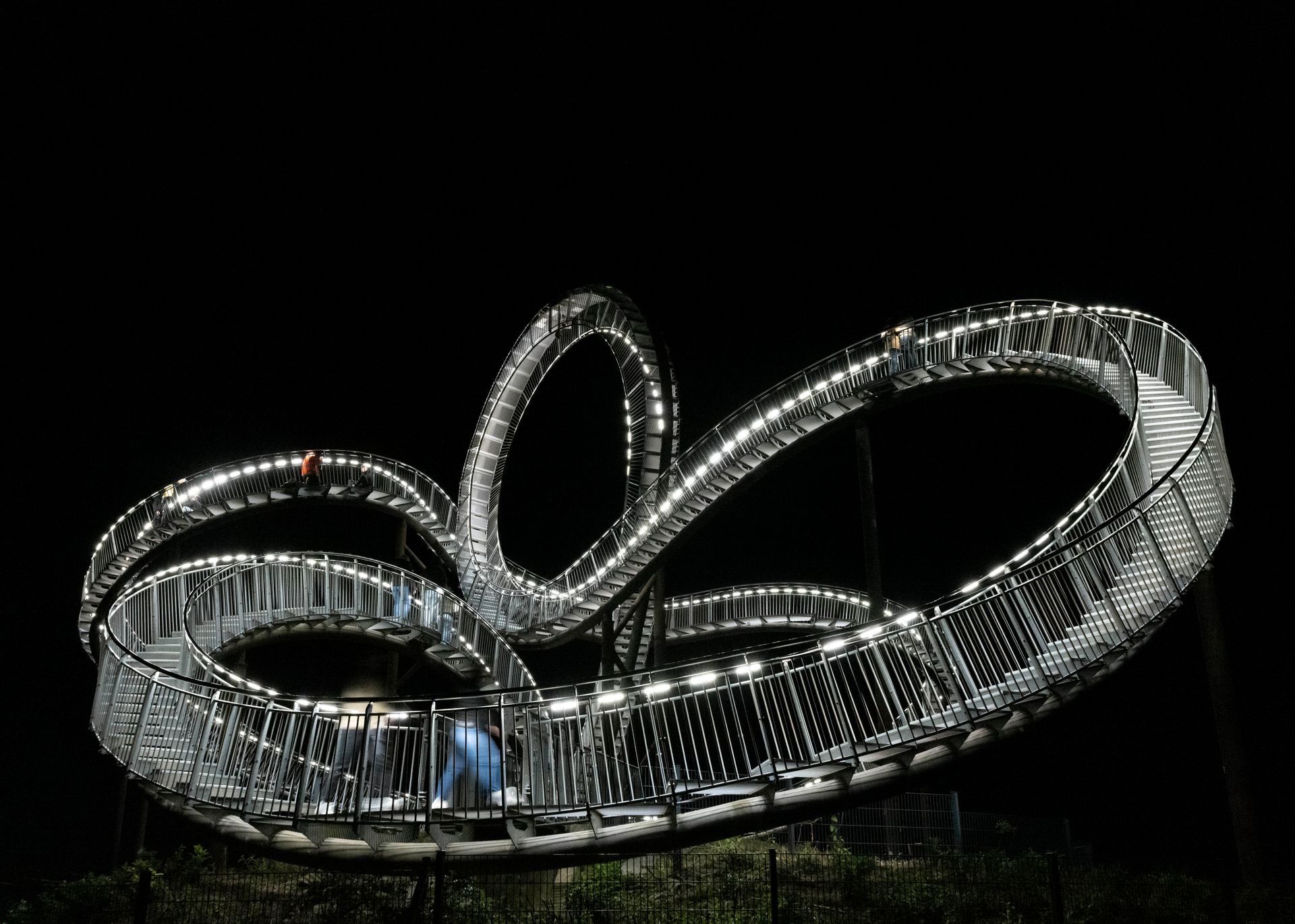 Tiger and Turtle at night