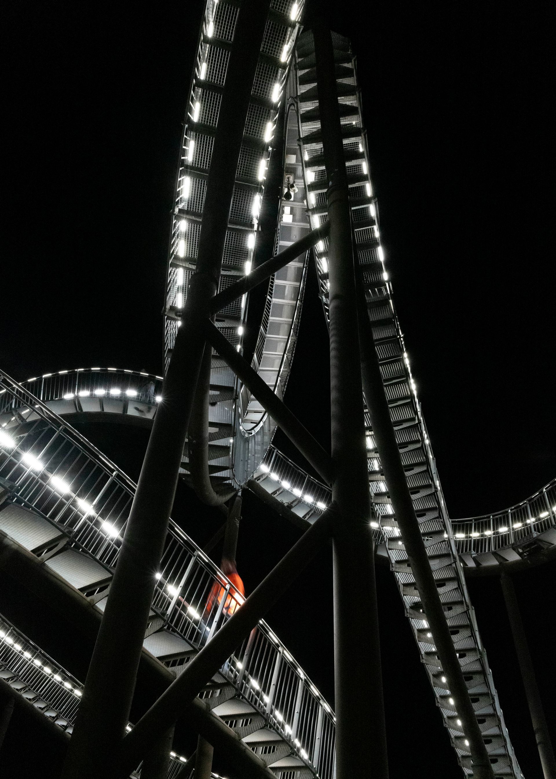 Tiger and Turtle at night