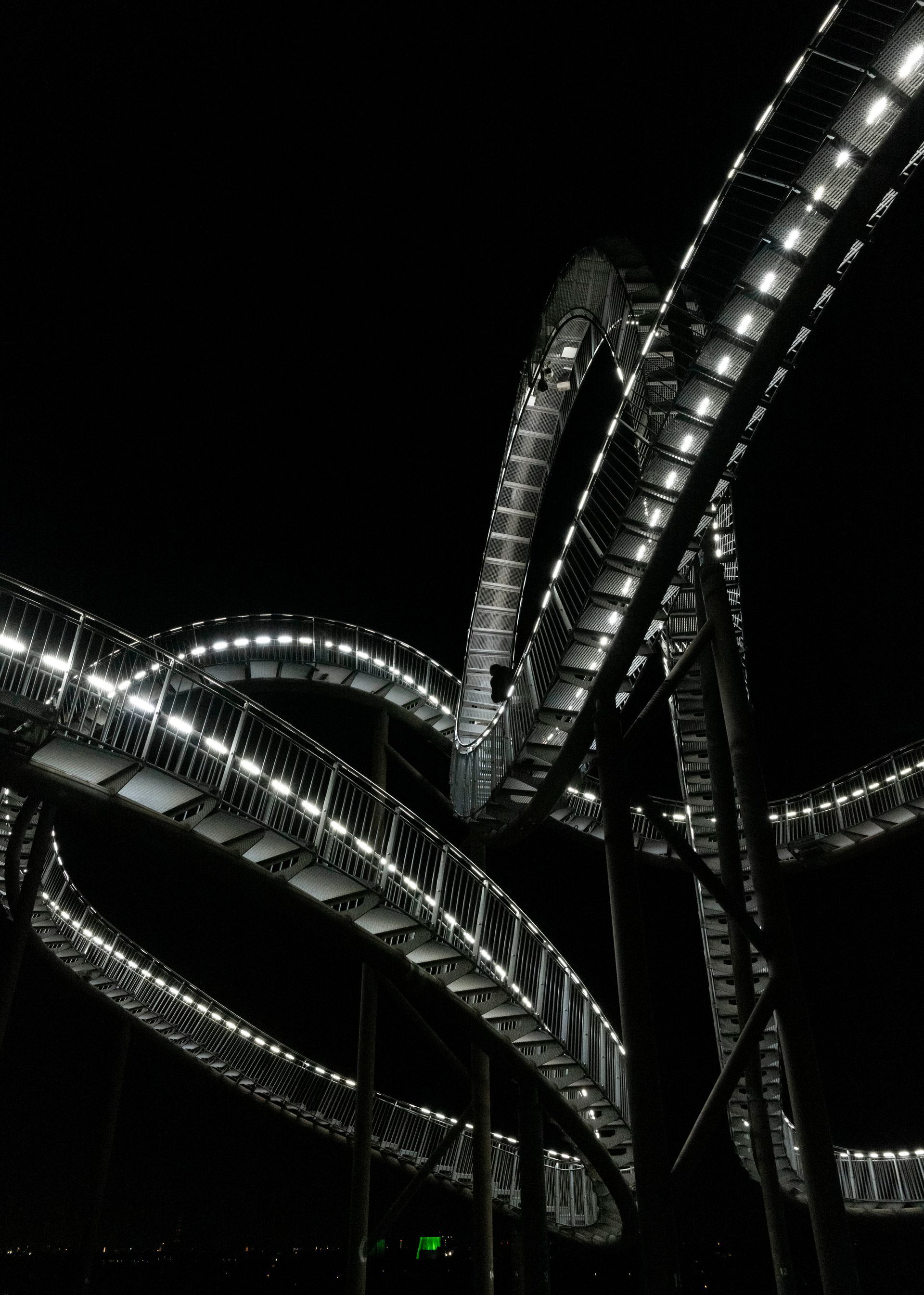 Tiger and Turtle at night